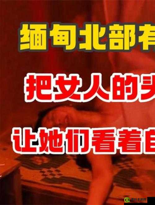 缅甸外网恐怖网站入口：揭示恐怖主义的黑暗网络