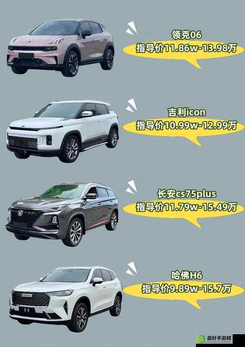 国产 SUV 精品一区二：引领国产 SUV 发展新潮流