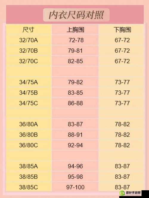 无人区码尺码的制定：从测量到标准，确保准确与适用